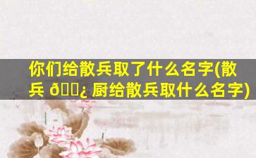 你们给散兵取了什么名字(散兵 🌿 厨给散兵取什么名字)